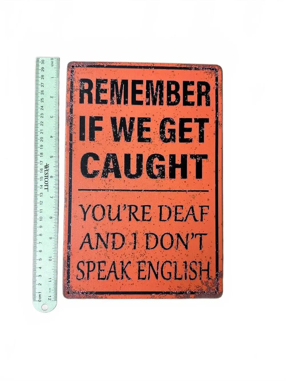 Metal Sign Remember If We Get Caught You're Deaf And I Don't Speak English